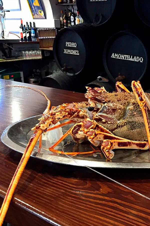 Bogavante - Restaurante La Bodega (Cádiz)